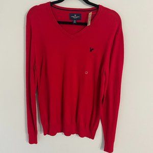 NWT American Eagle V-Neck Sweater